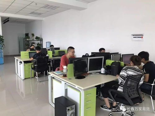 信息咨询服务 点亮生活决策的智慧之窗